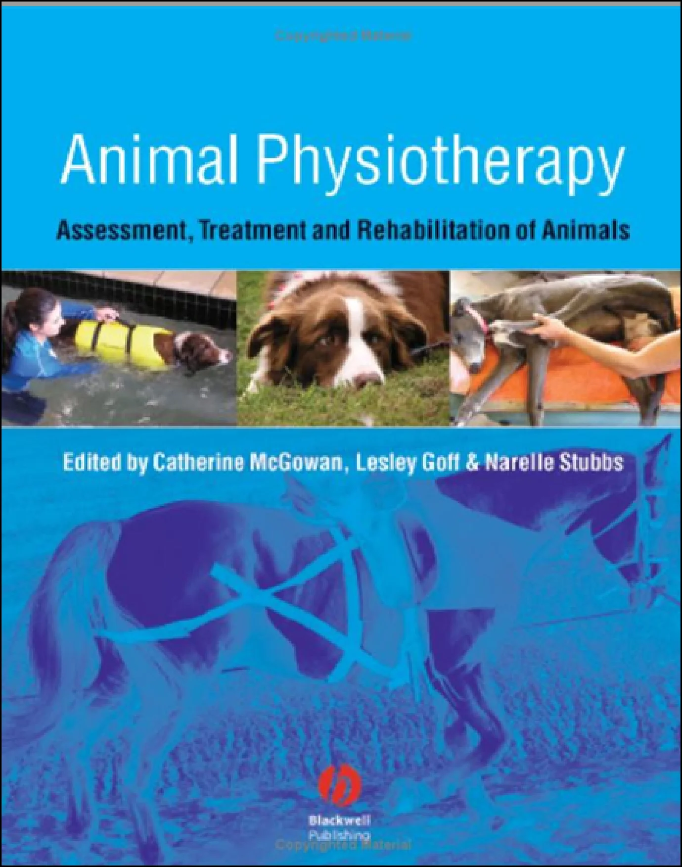 Animal Physiotherapy