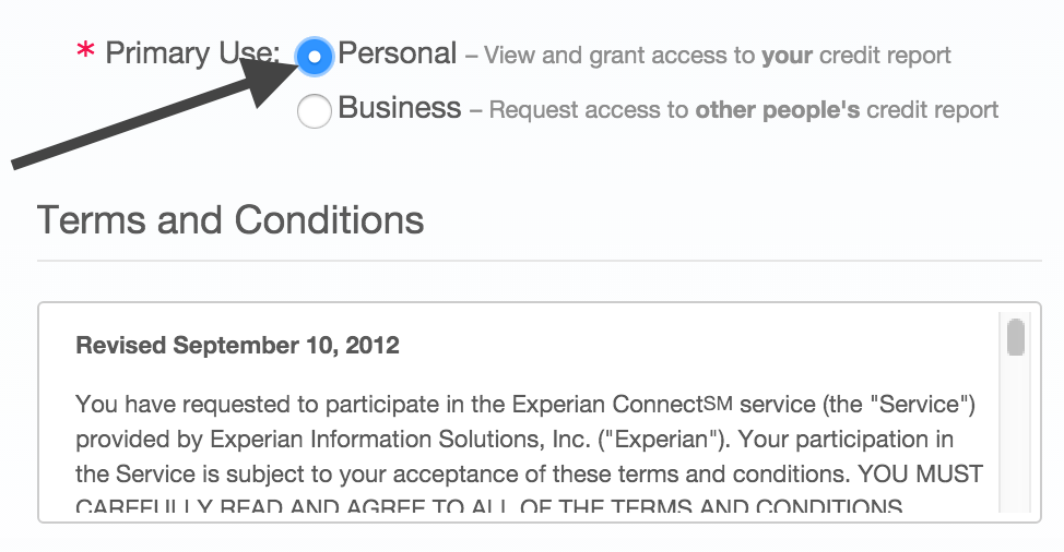 Check off: Personal – View and grant access to your credit report