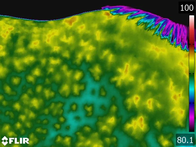 FLIR5241.jpg