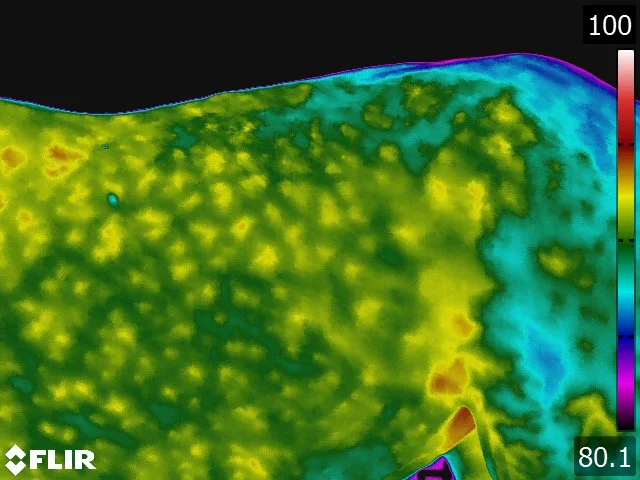 FLIR5246.jpg