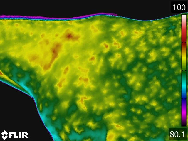 FLIR5245.jpg