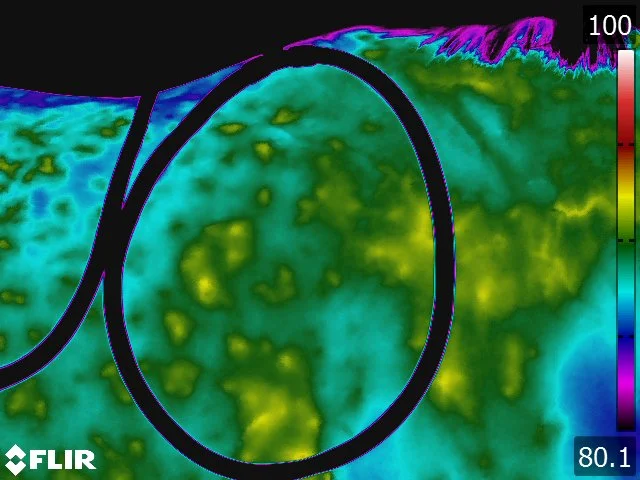 FLIR5252.jpg