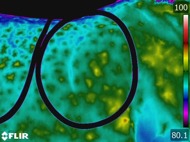 FLIR5254.jpg