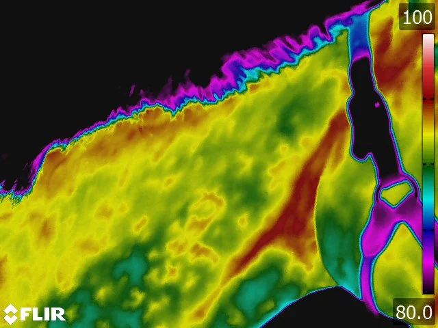 FLIR5292.jpg