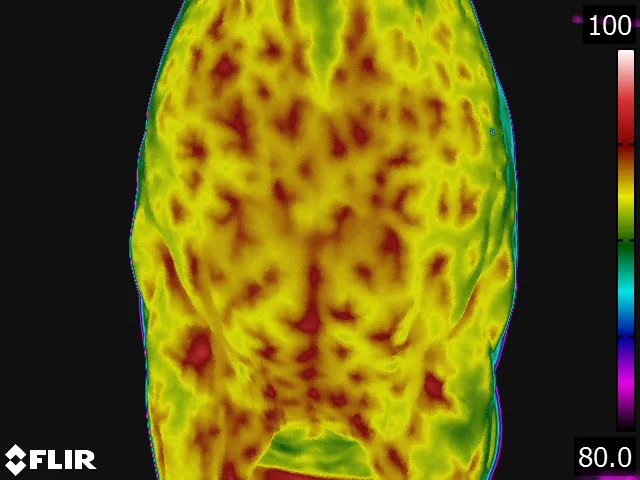 FLIR5313.jpg
