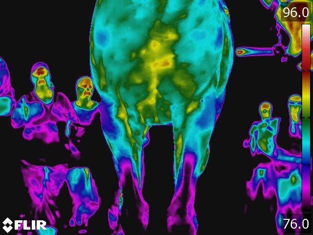 FLIR5221.jpg