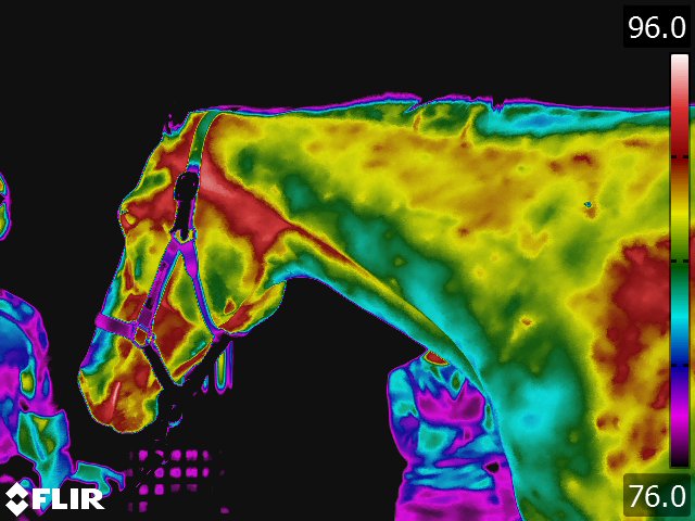 FLIR5224.jpg