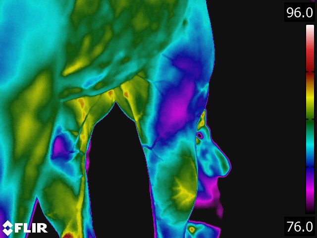 FLIR5225.jpg