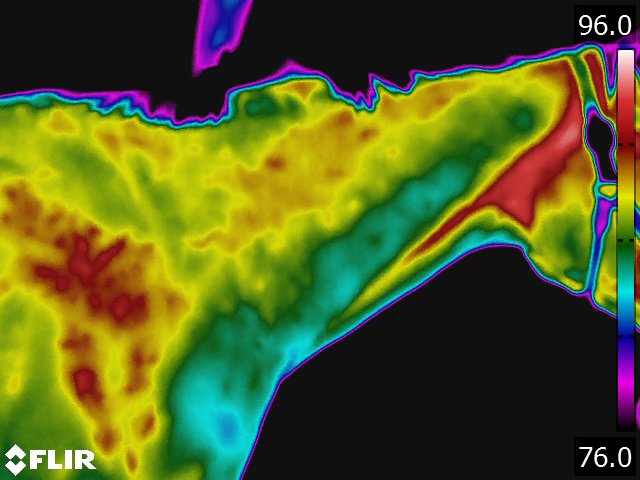 FLIR5229.jpg