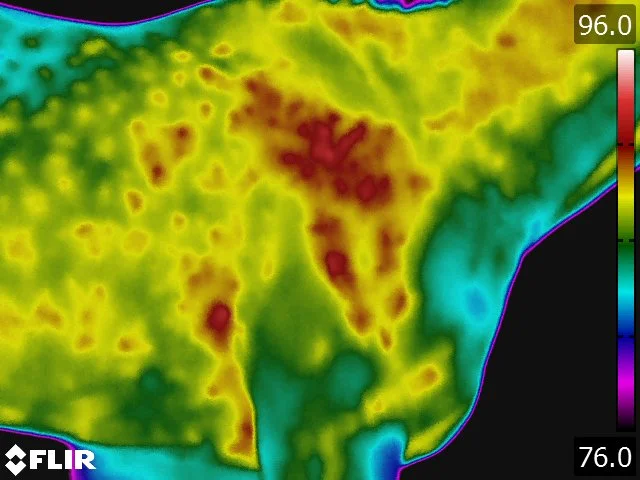 FLIR5230.jpg