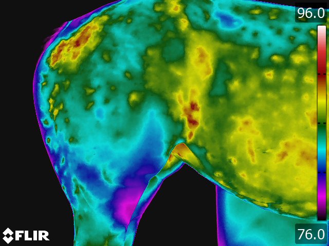FLIR5232.jpg