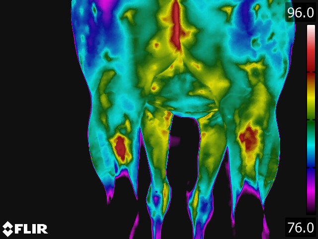 FLIR5233.jpg