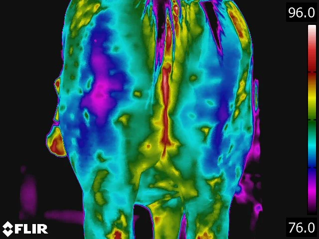FLIR5234.jpg
