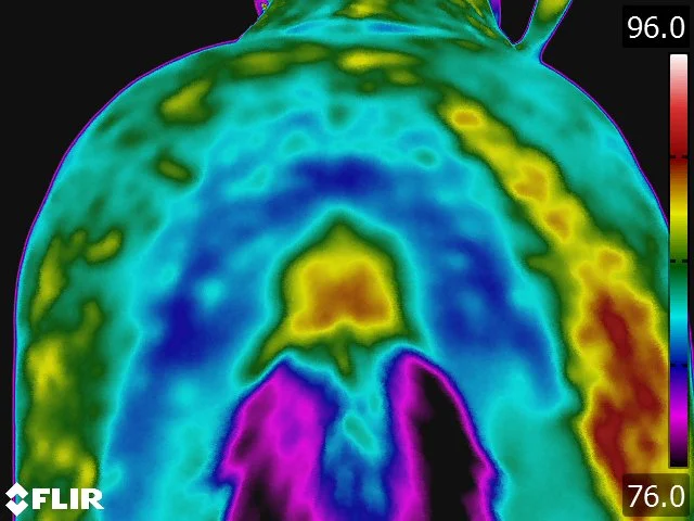 FLIR5236.jpg