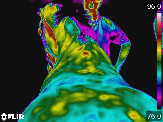 FLIR5237.jpg