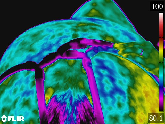 FLIR5283.jpg