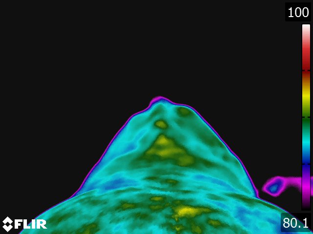 FLIR5284.jpg