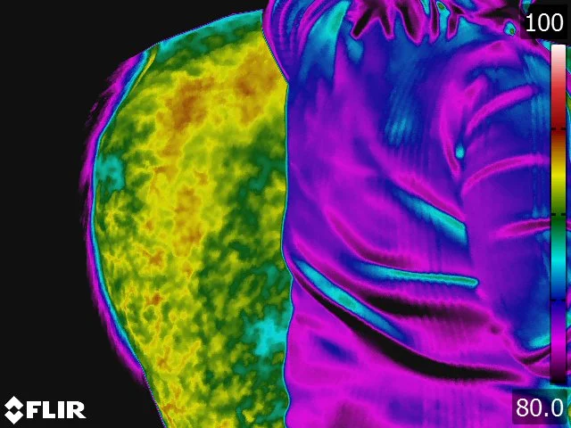 FLIR5303.jpg
