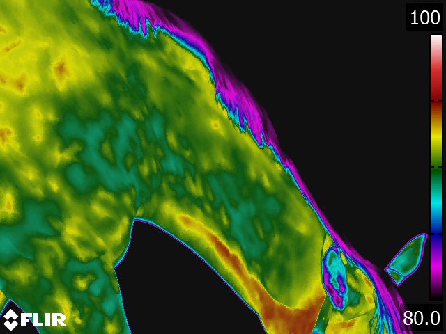 FLIR5326.jpg