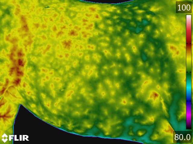 FLIR5327.jpg
