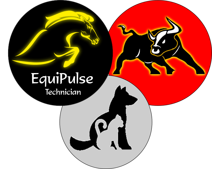 Equine, Small Animal and Livestock Technicians