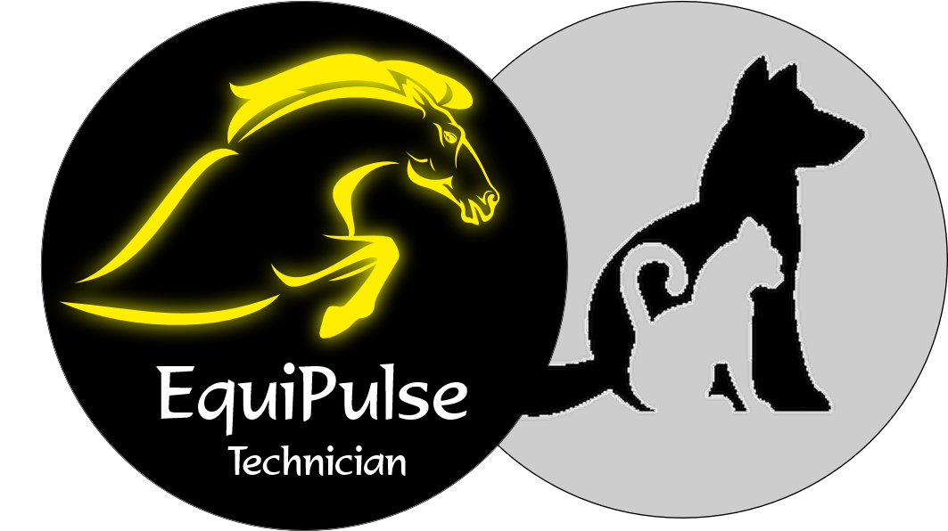Equine and Small Animal Technician