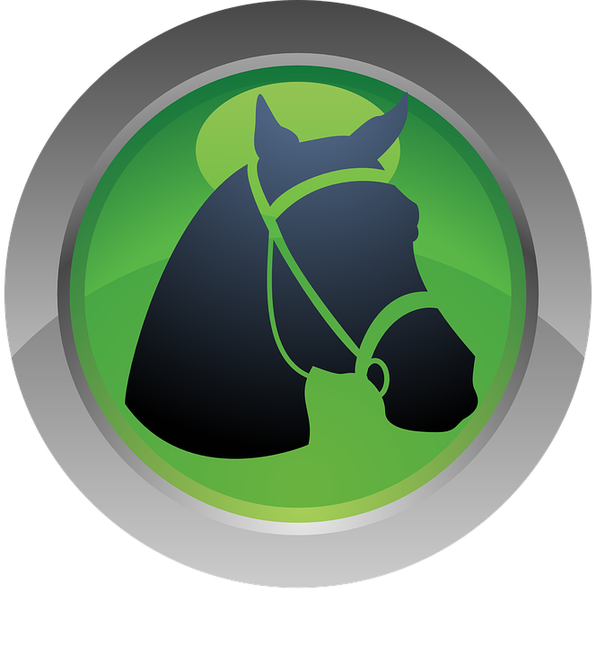 Licensed Equine Vet