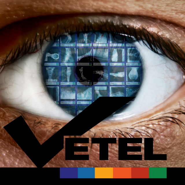 Vetel Logo.png