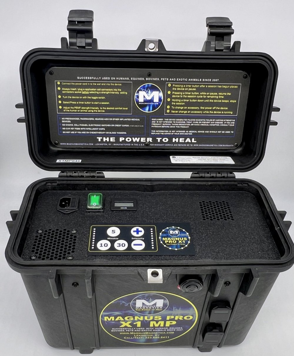 馬術 乗馬Equilibrium Therapy® 塩っぱ Magnetic Chaps 