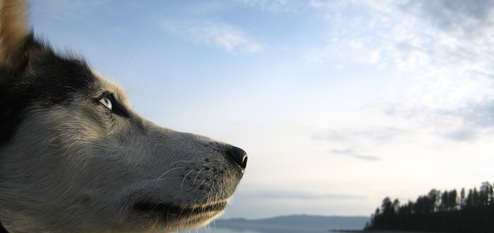 Screen Shot 2015-10-17 at 8.39.03 PM.png