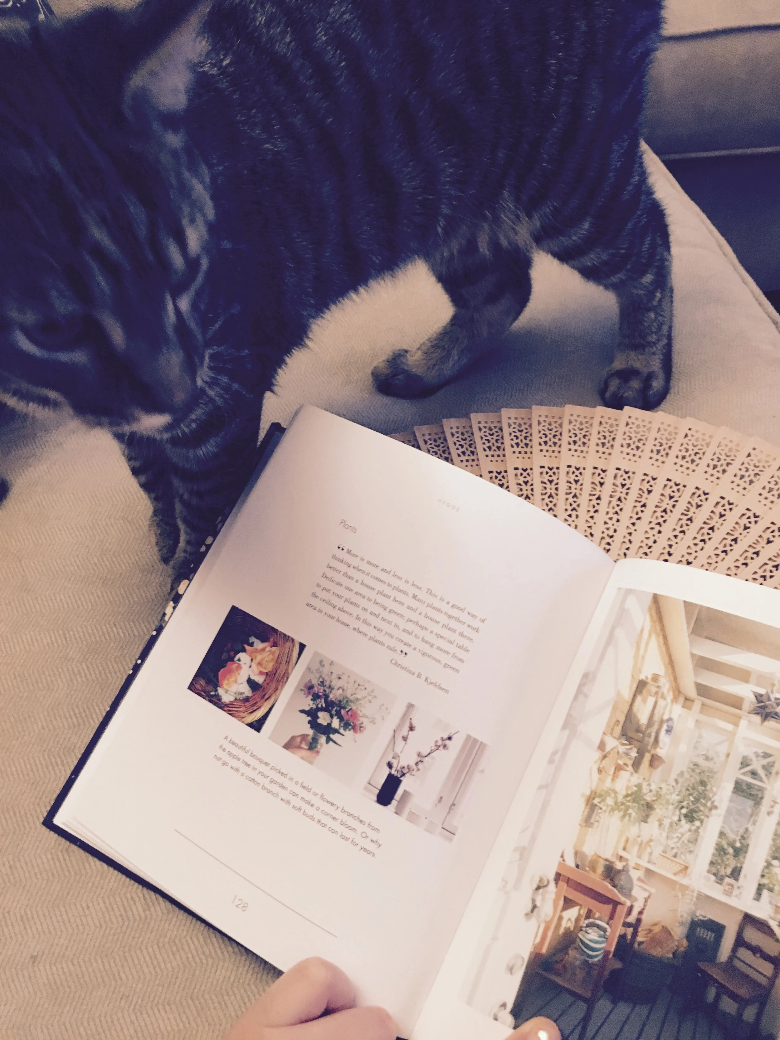 From Hygge, on the magic of plants in your space