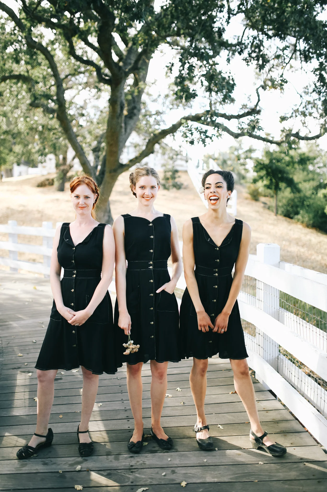 Photograph courtesy of Field Day