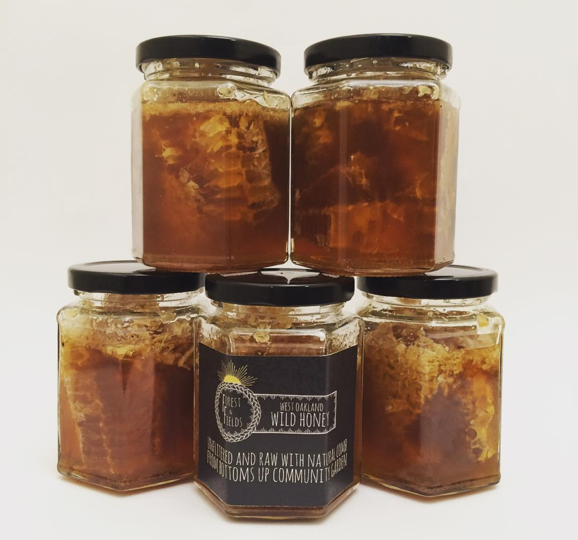 Photograph courtesy of Forest & Fields