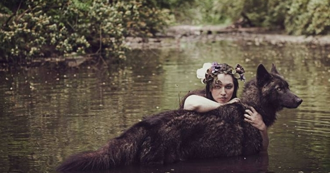 Rachel Lauren Photography