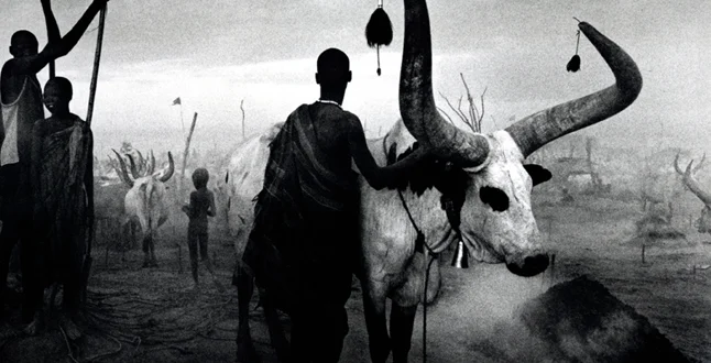 Tribesmen by Sebastiᾶo Salgado Description: The sense that these tribesmen, evoked by the foggy black and white appearance, are untouched by civilization—frozen in time.