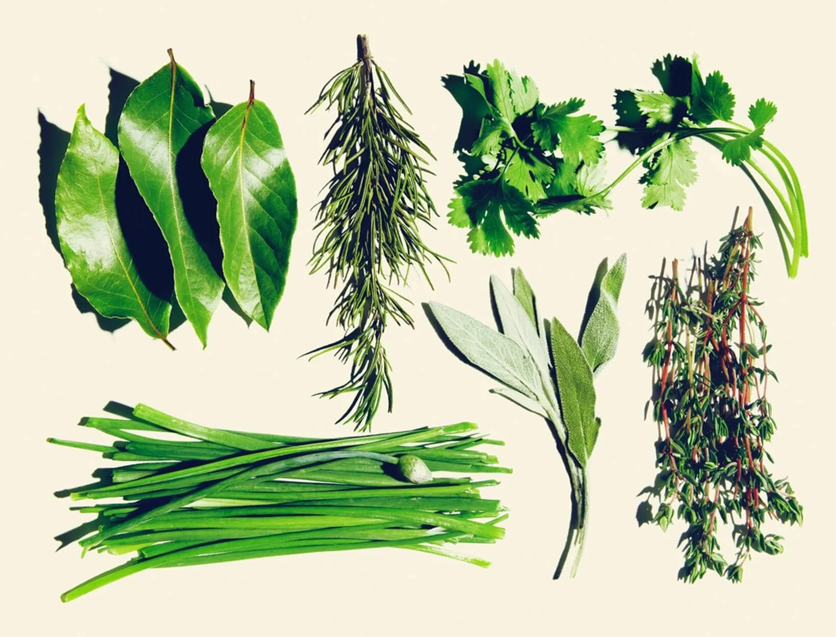 Image via GOOP.