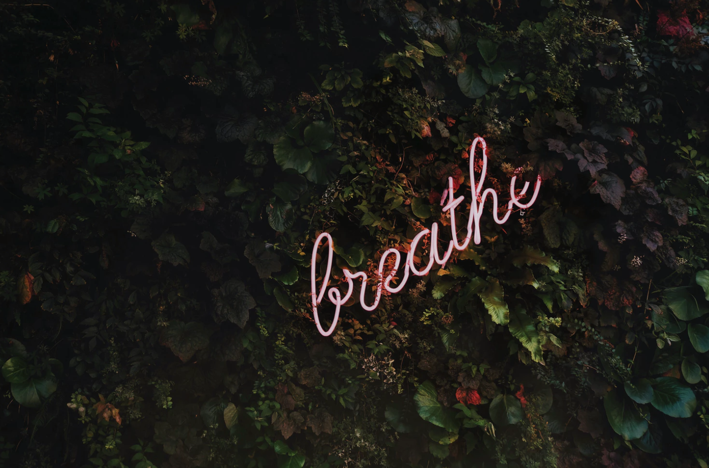 Working Out As Magic &amp; Ritual: A Witch's Comprehensive Guide