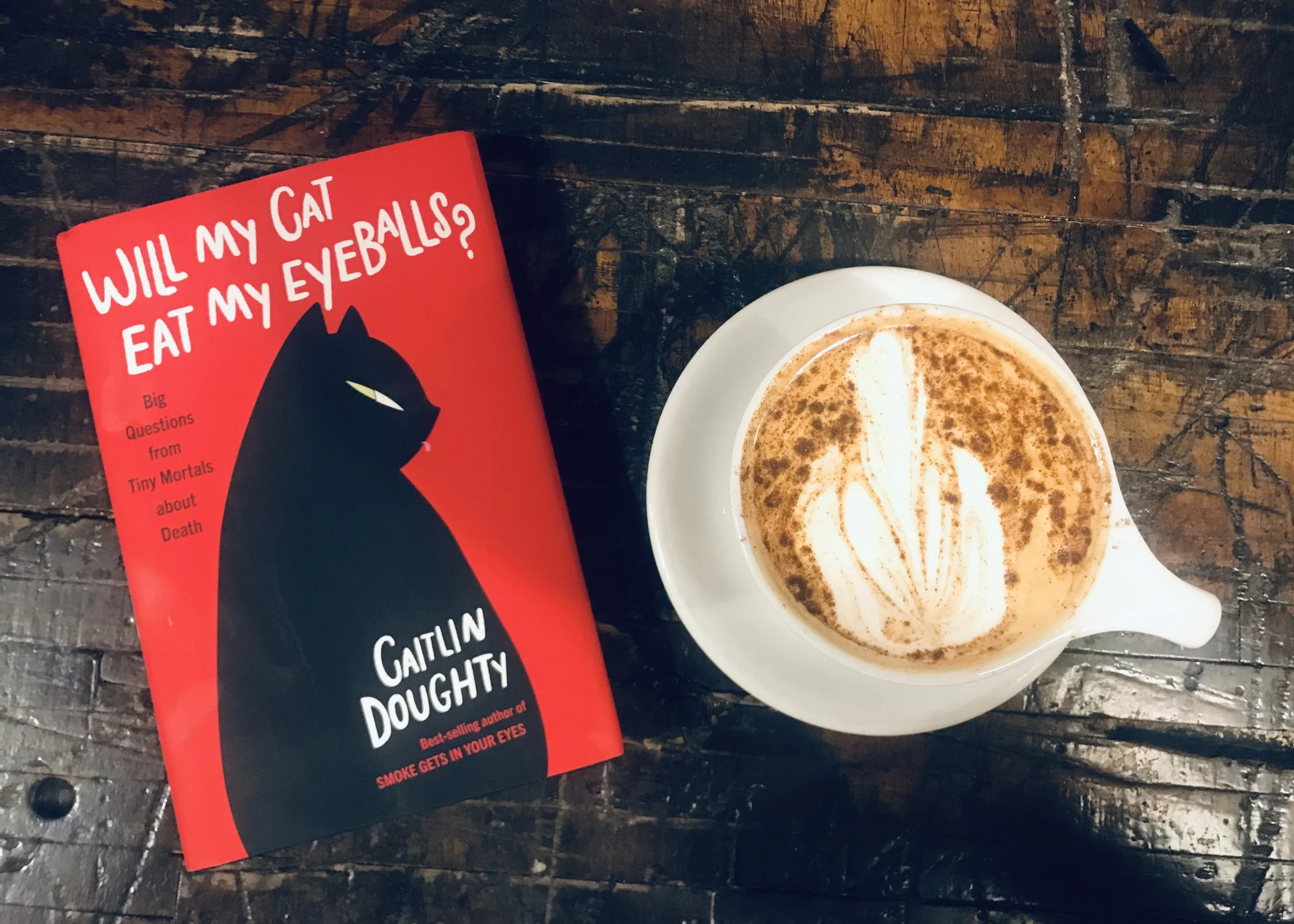 A Review of Caitlin Doughty's 'Will My Cat Eat My Eyeballs?'