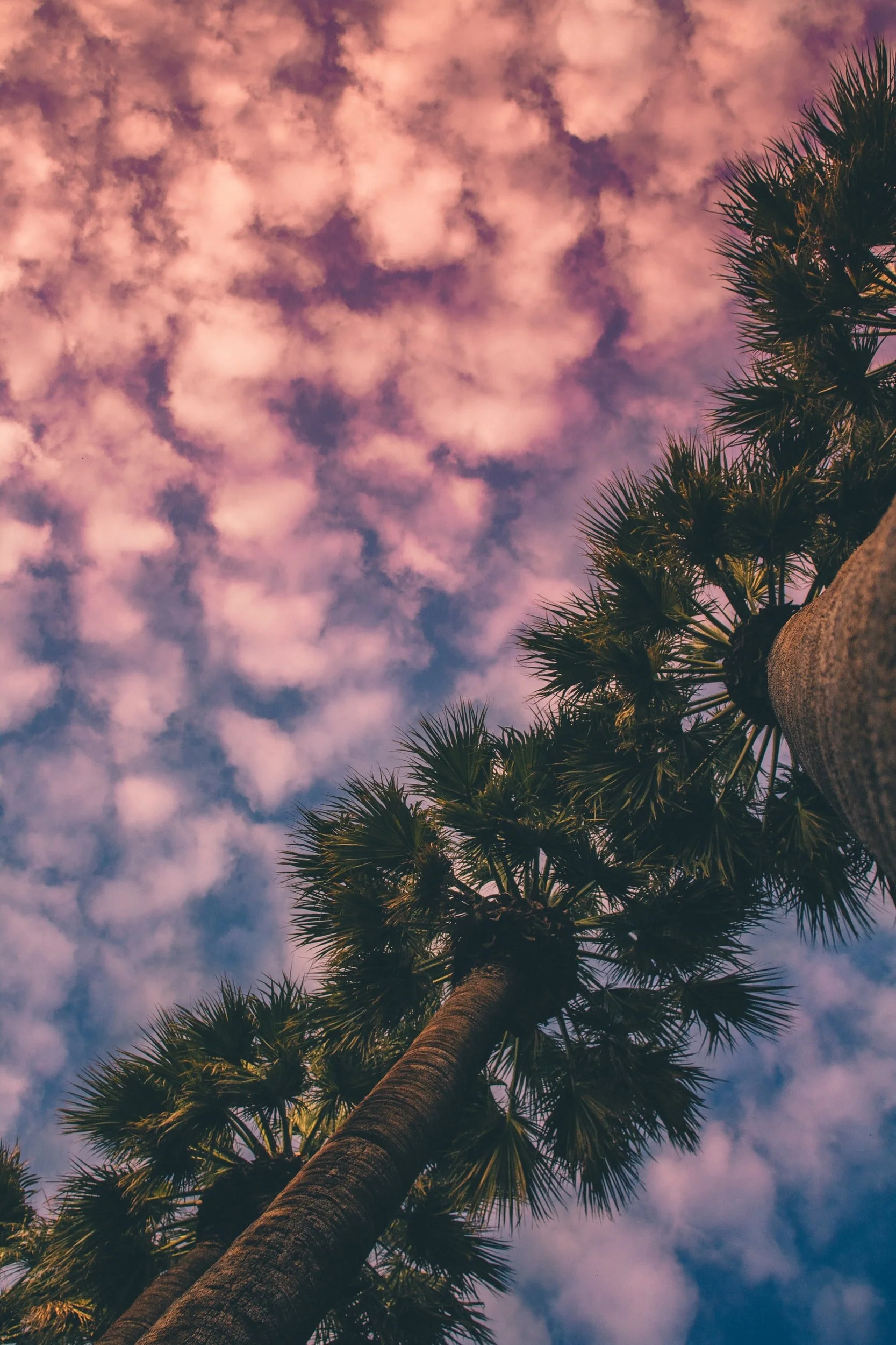 A Playlist for Temperance