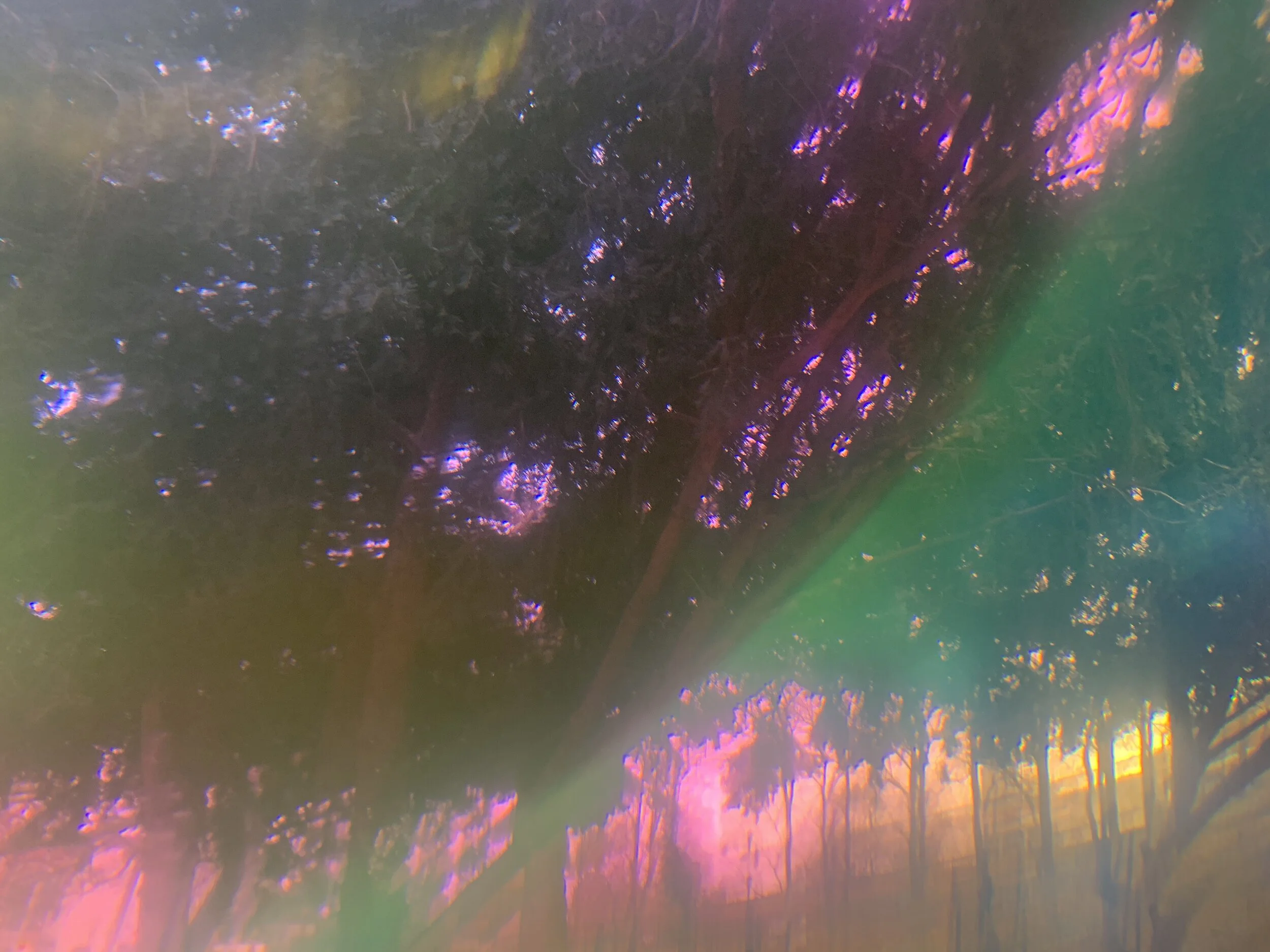 The Music Outside My Window 