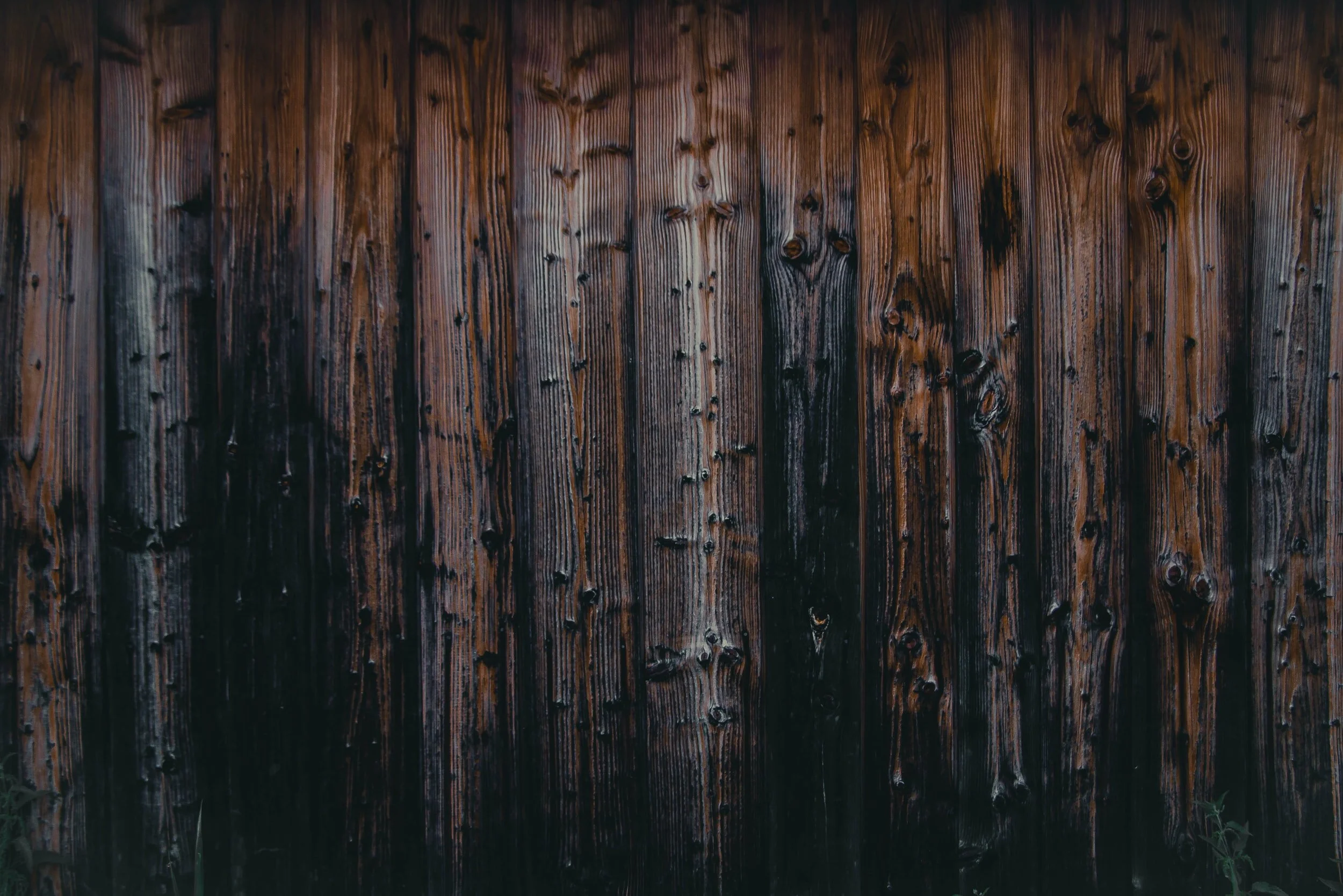 Poetry by Fox Henry Frazier