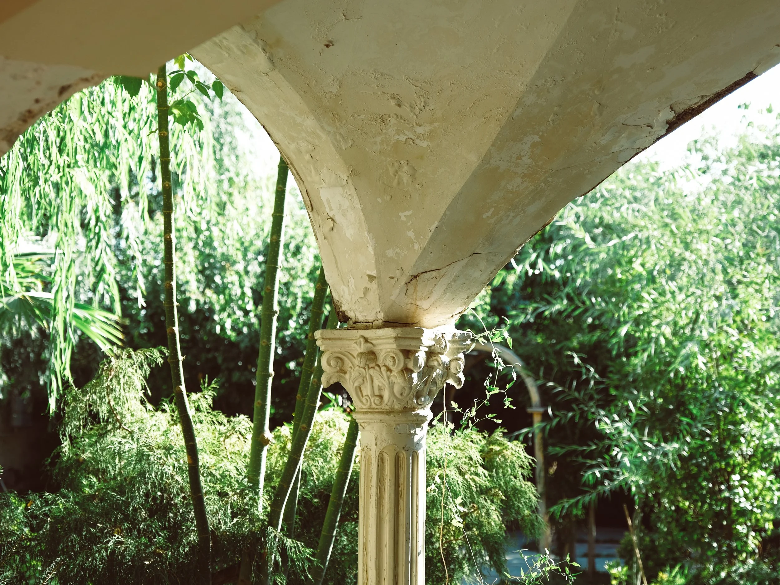 Andi Talarico on Magic, Writing, and Italian Inspiration