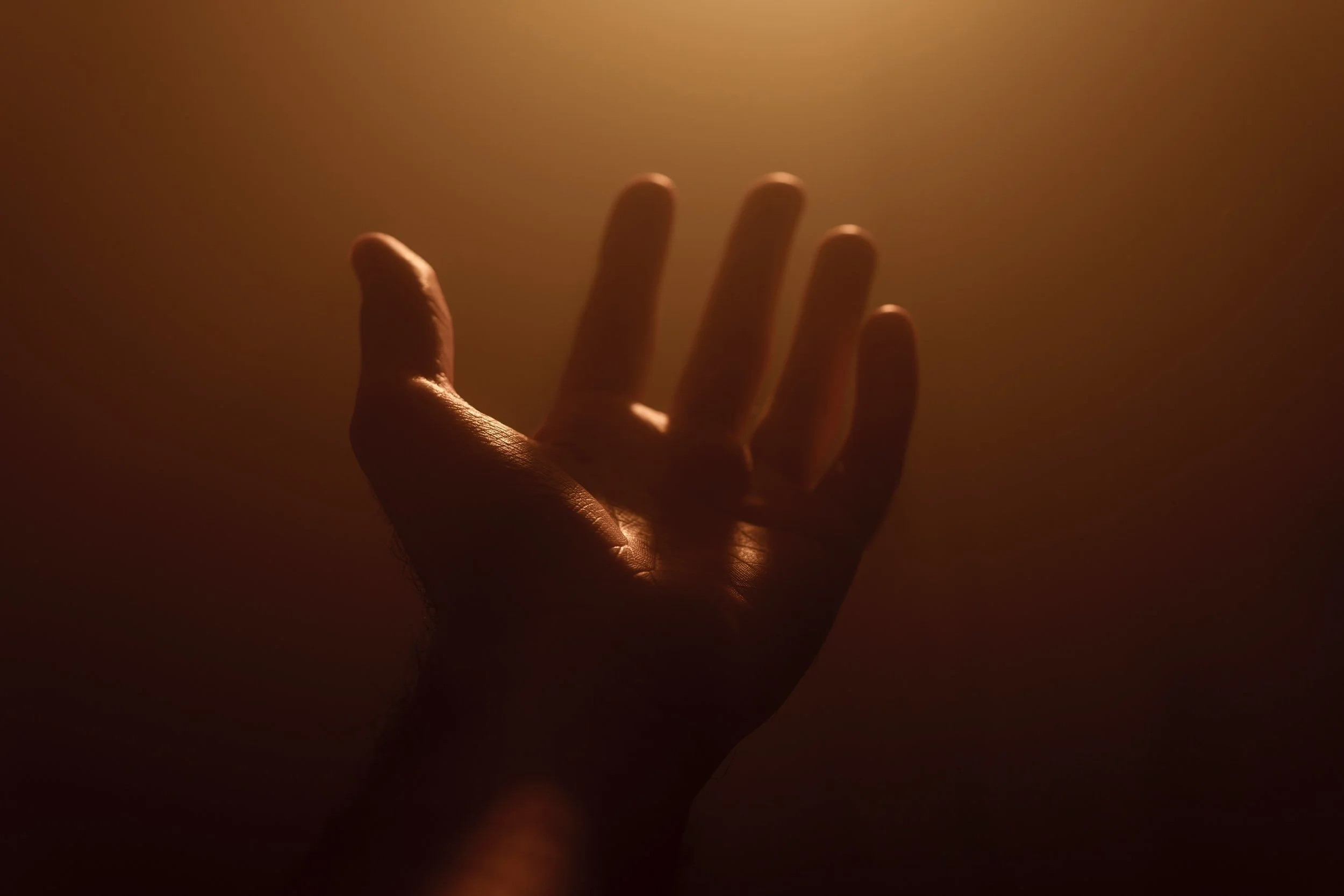 Bára Hladík on 'New Infinity,' Disability, &amp; Folklore