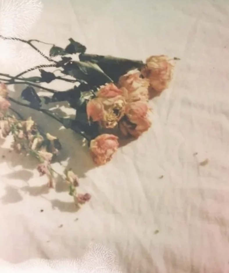 'Our wildness the eternal now' — poetry by Hannah Levy