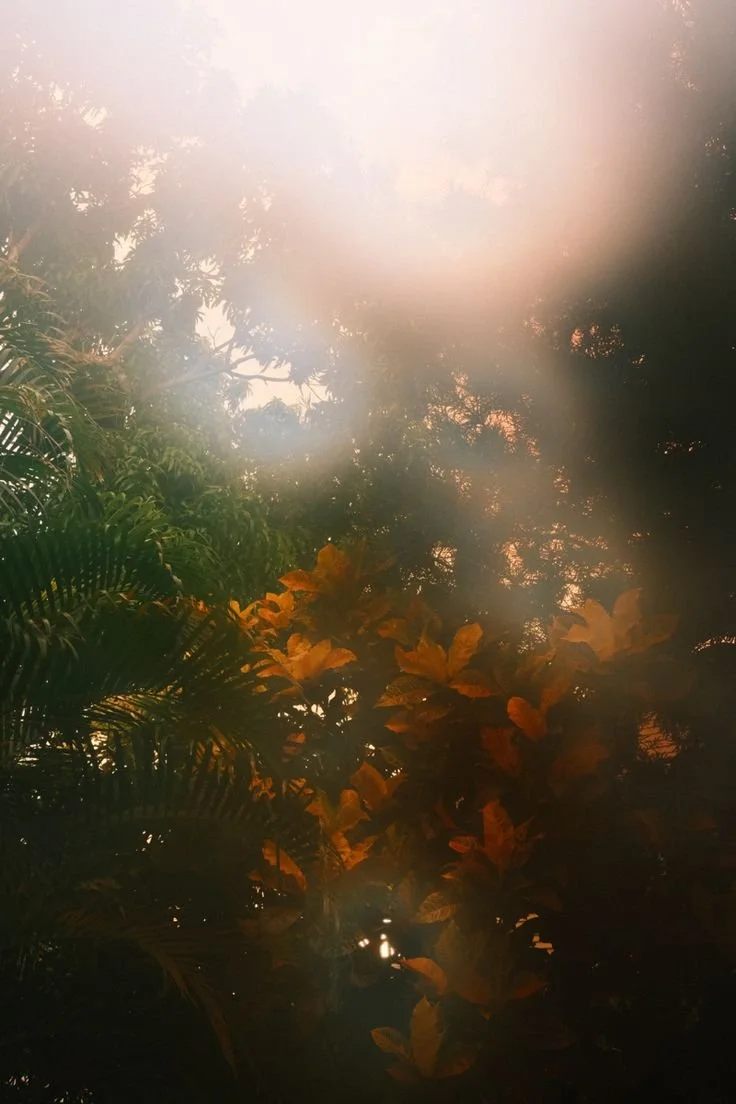 'into the voluminous abyss' — poetry by D.J. Huppatz