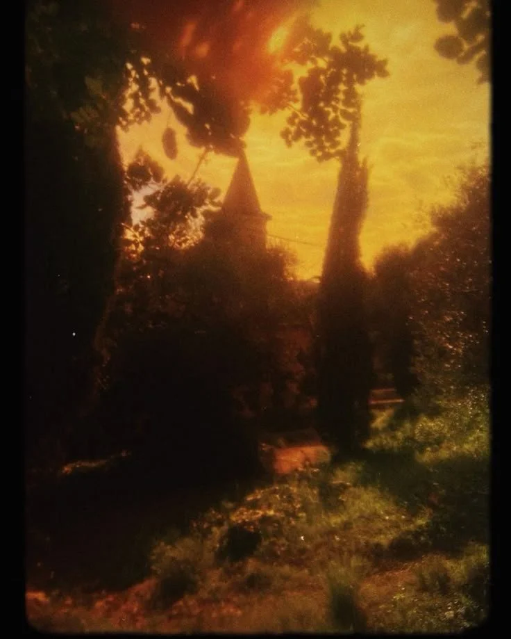 'long, dangerous grasses' — poetry by Jessica Purdy