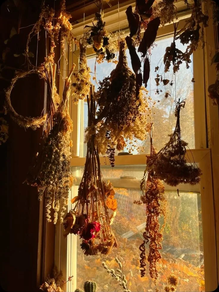 'an animal within an animal' — a poem by Carolee Bennett