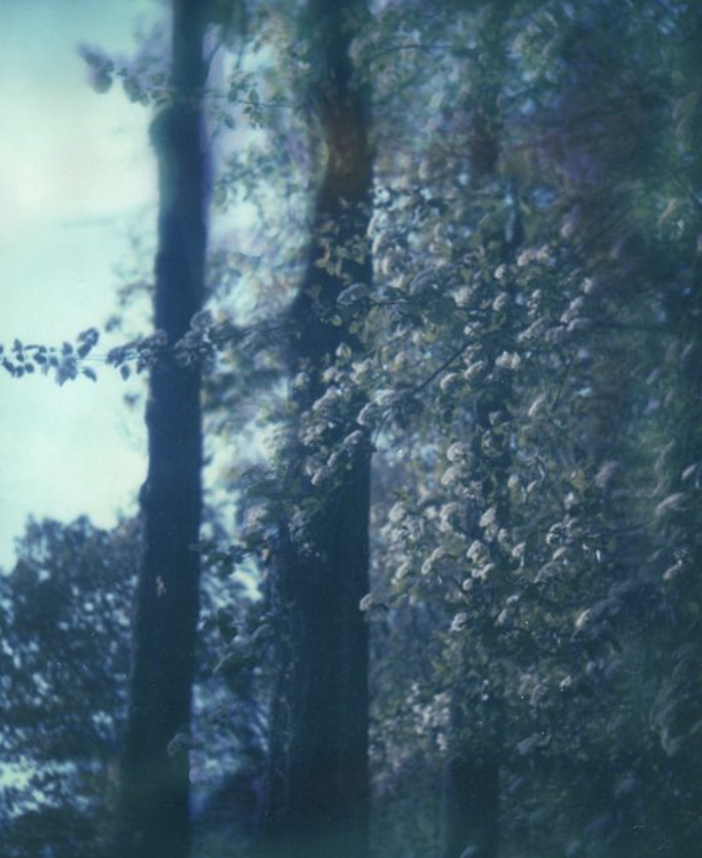 'Love is a necessary duty' — poetry by Tabitha Dial