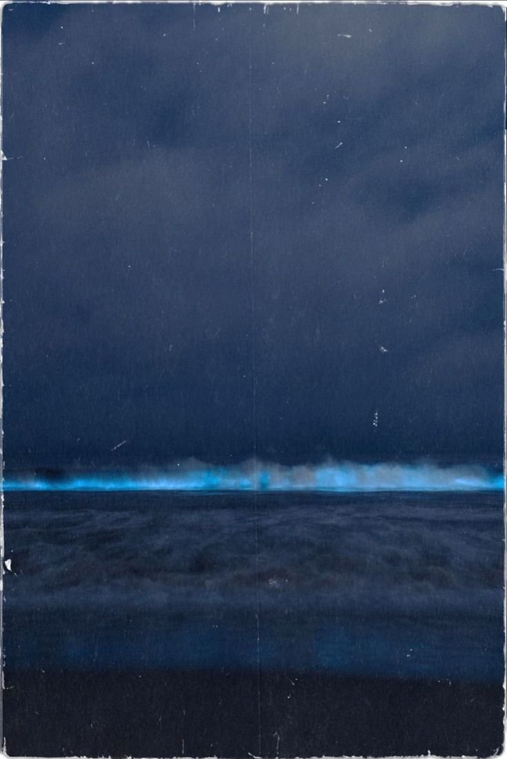 'The birth of a body that never unraveled' — an excerpt by Hillary Leftwich