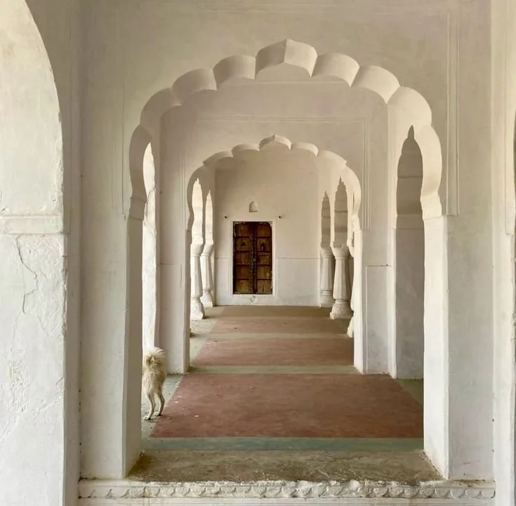 'a paradise called&nbsp; Loneliness' — poetry by Adam Jon Miller